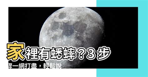 家裡有蟋蟀怎麼辦|【房間有蟋蟀】房間有蟋蟀？驚！可能是這5大原因造成的，教你3。